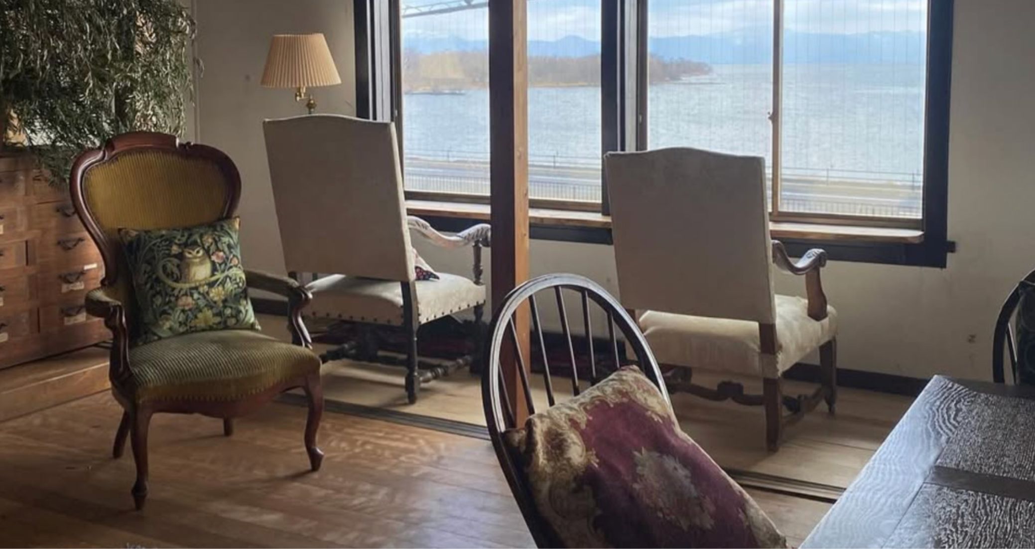 ダーチャキッチン猫と龍